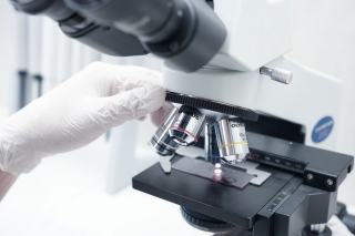 Papillomavirus humains : plus de 200 types, une douzaine à haut risque